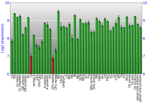 Multi-state expression graph
