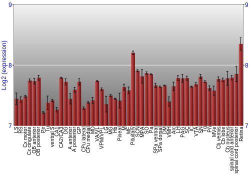Expression graph