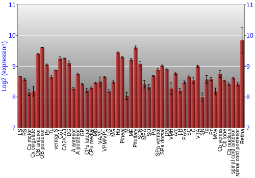 Expression graph