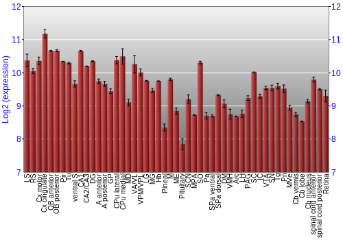 Expression graph