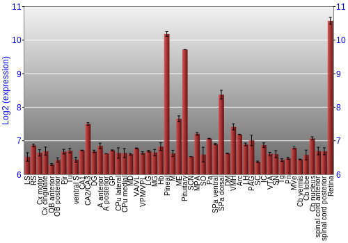 Expression graph