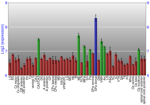Multi-state expression graph
