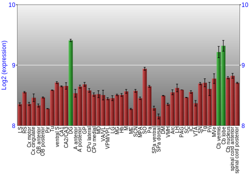 Multi-state expression graph