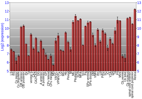 Expression graph