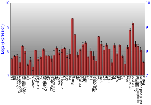 Expression graph