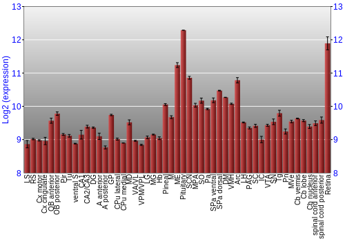 Expression graph