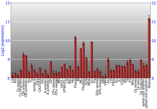 Expression graph