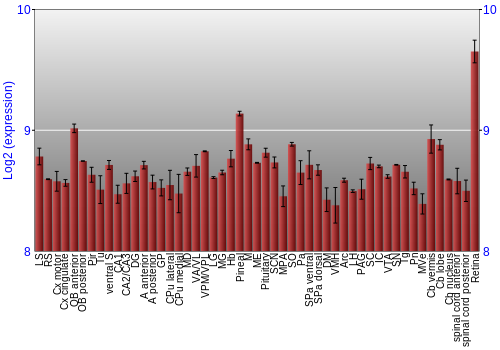 Expression graph