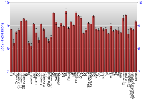 Expression graph