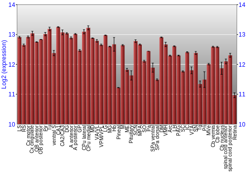 Expression graph