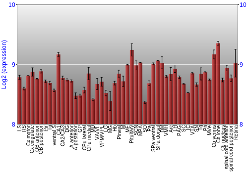 Expression graph
