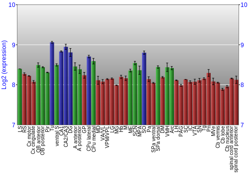Multi-state expression graph