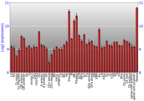 Expression graph