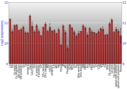 Expression graph