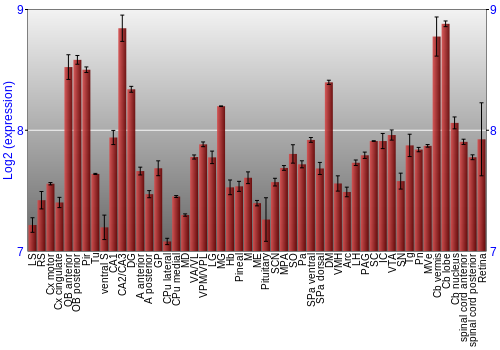 Expression graph