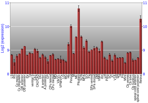Expression graph