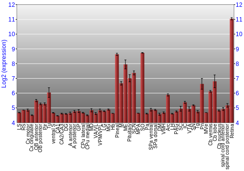 Expression graph