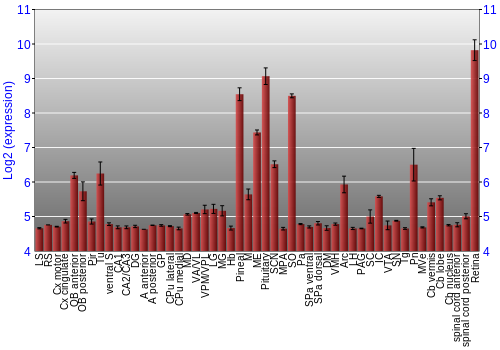 Expression graph