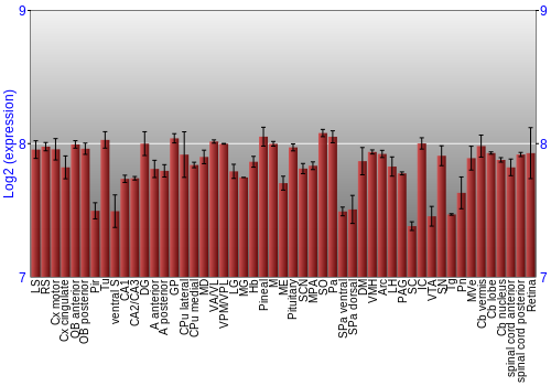 Expression graph