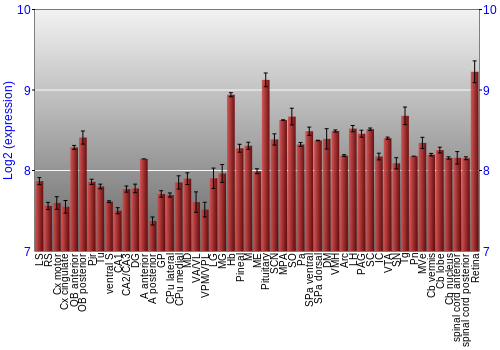 Expression graph