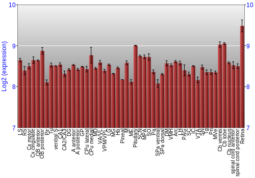 Expression graph