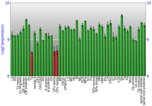 Multi-state expression graph