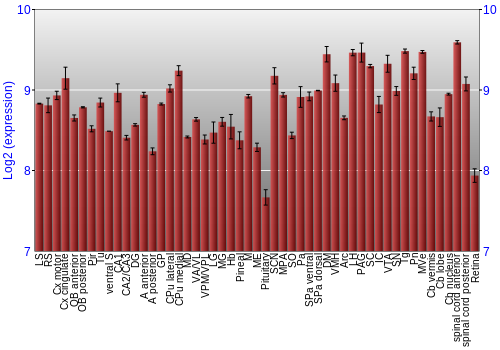 Expression graph