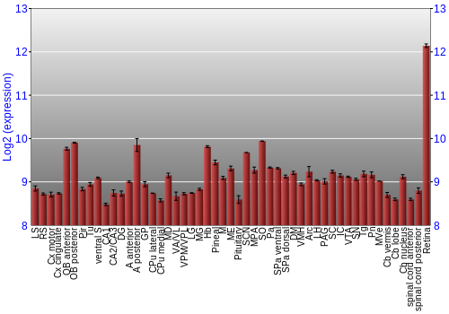 Expression graph