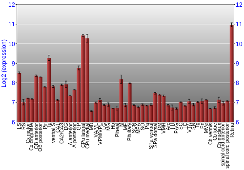 Expression graph
