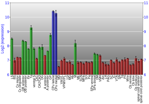 Multi-state expression graph