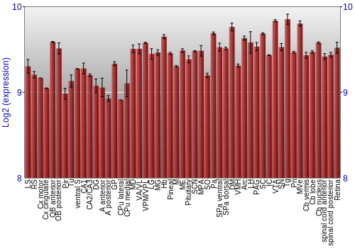 Expression graph
