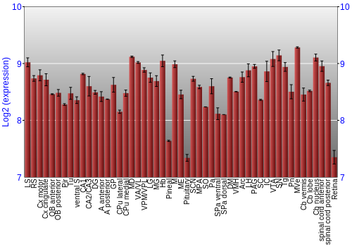 Expression graph