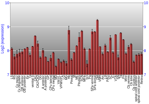 Expression graph