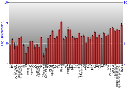 Expression graph