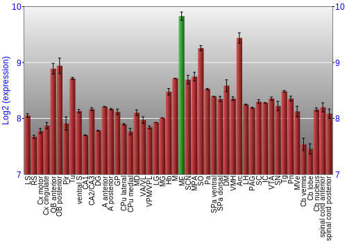 Multi-state expression graph