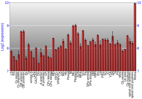 Expression graph