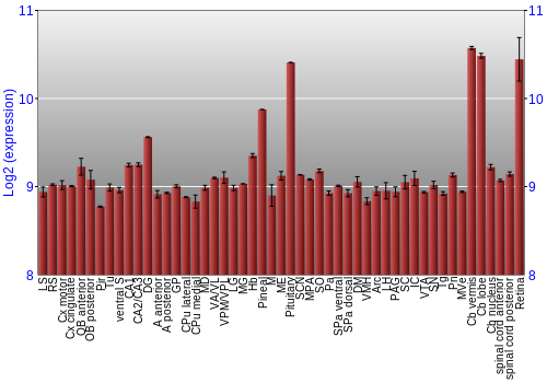 Expression graph