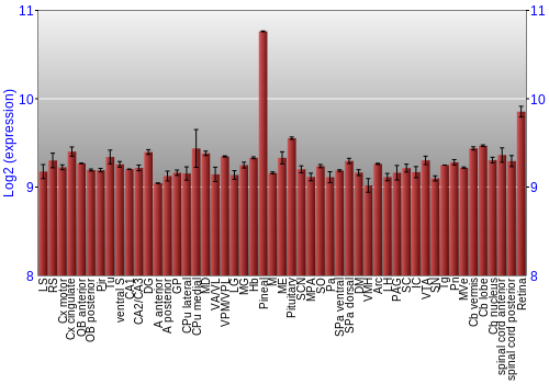 Expression graph