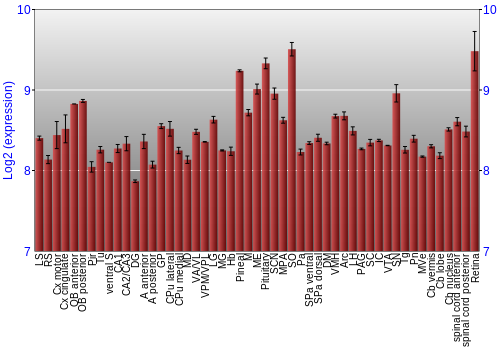 Expression graph