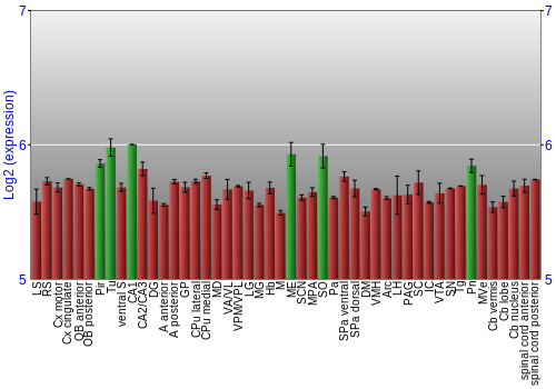 Multi-state expression graph