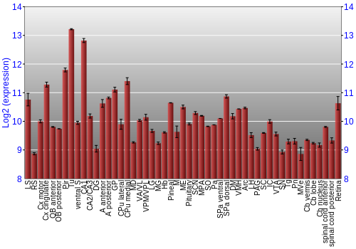 Expression graph