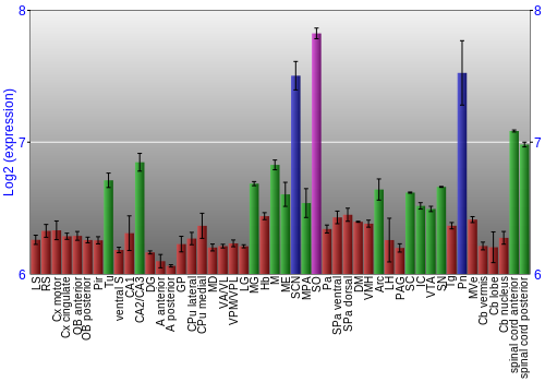 Multi-state expression graph