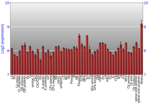 Expression graph