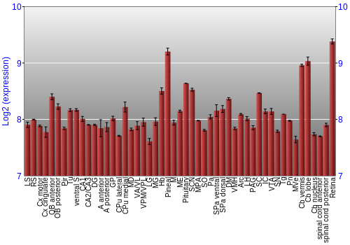 Expression graph