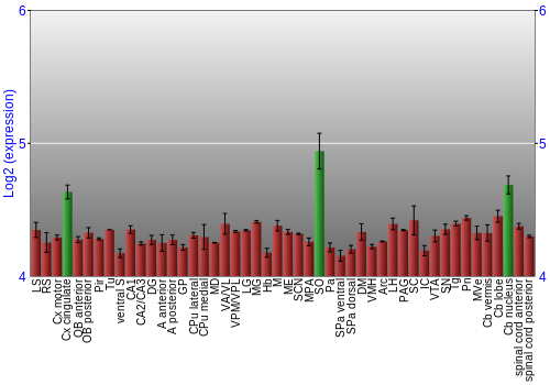 Multi-state expression graph
