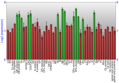Multi-state expression graph