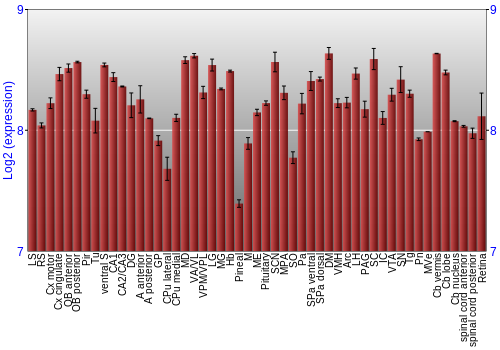 Expression graph