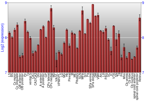 Expression graph