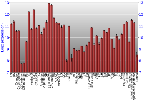 Expression graph