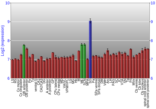 Multi-state expression graph